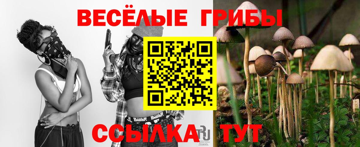Псилоцибиновые грибы Psilocybine cubensis  Вход с VPN  Псилоцибиновые грибы Psilocybe  Артём 