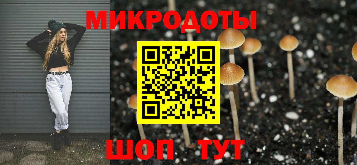 Псилоцибиновые грибы прущие грибы Артём